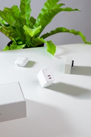 A white surface features several electronic devices, including a white charging adapter with USB ports. A green plant with large leaves is positioned in the back, adding a natural element.