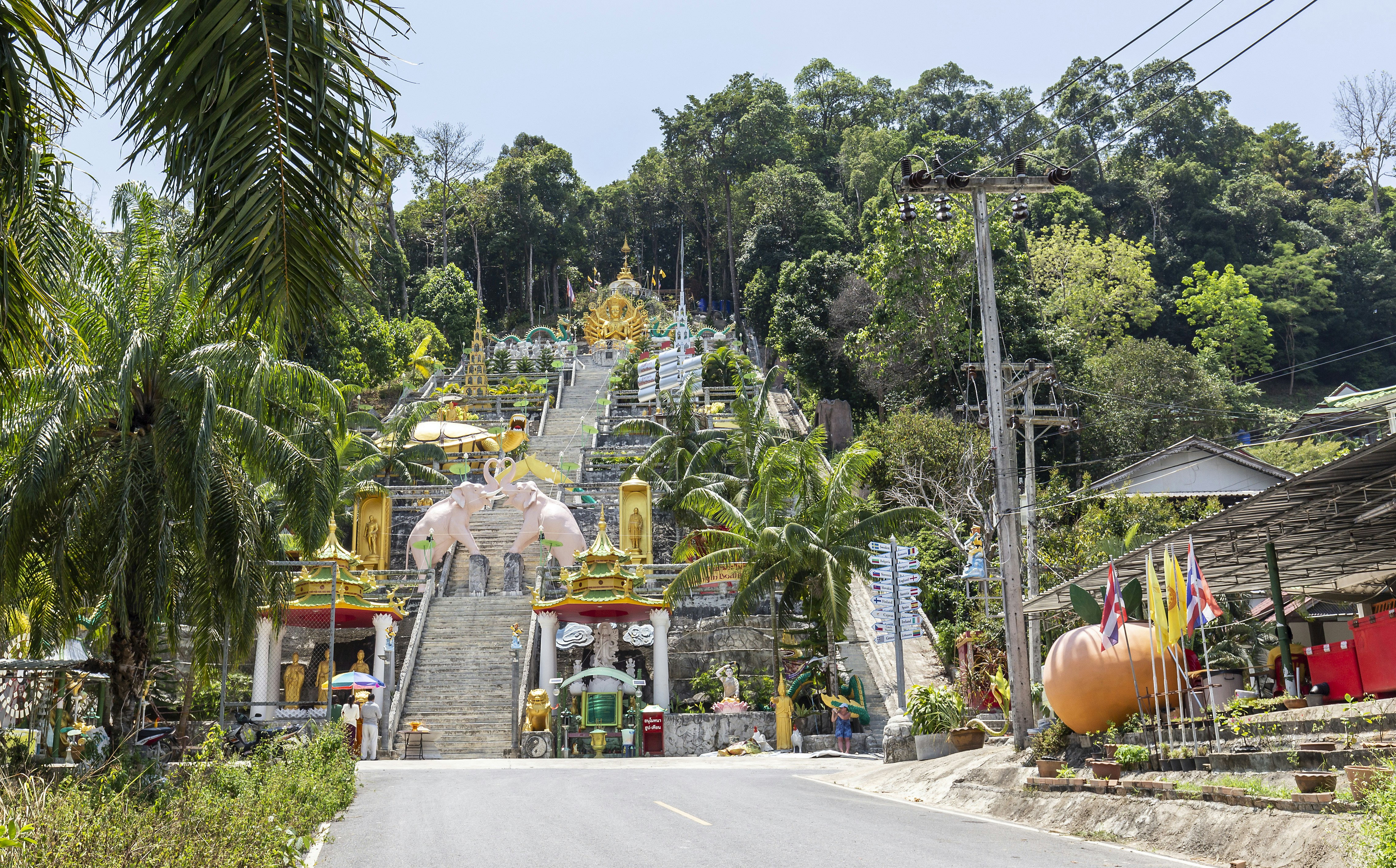 green trees and plants near gray concrete road during daytime