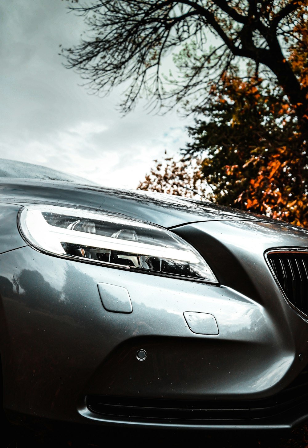 silver mercedes benz car near brown trees during daytime