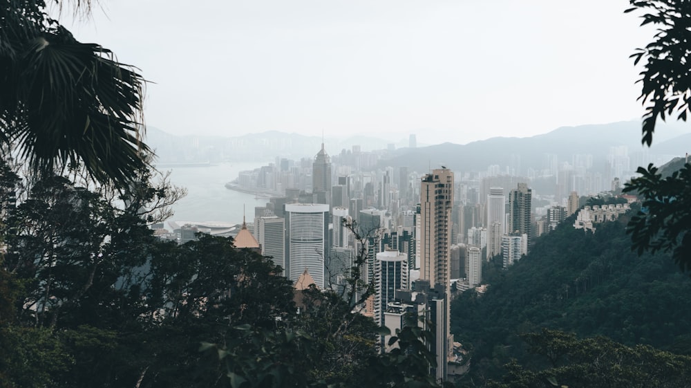 city skyline under white sky during daytime