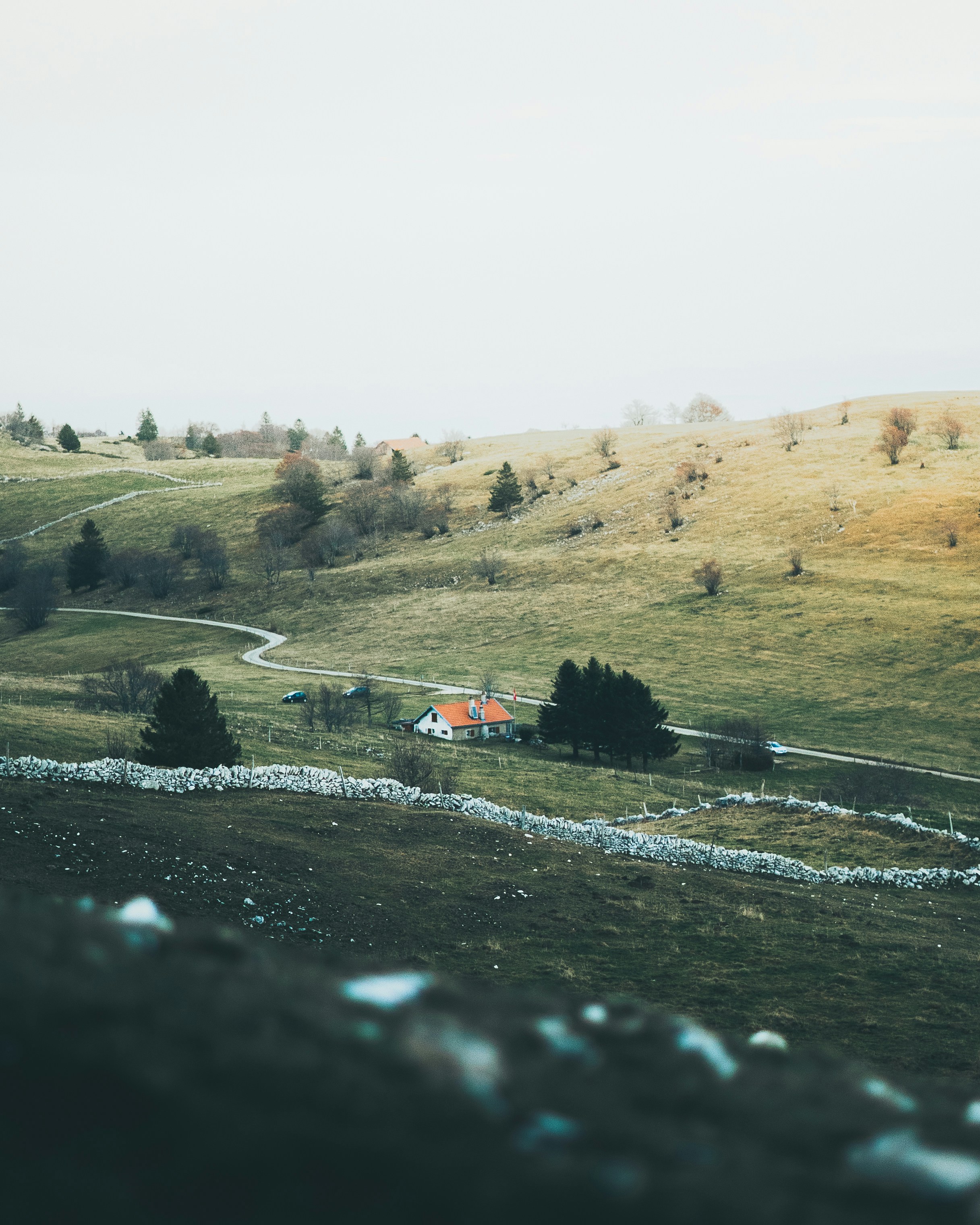 Photo by s_antonietti