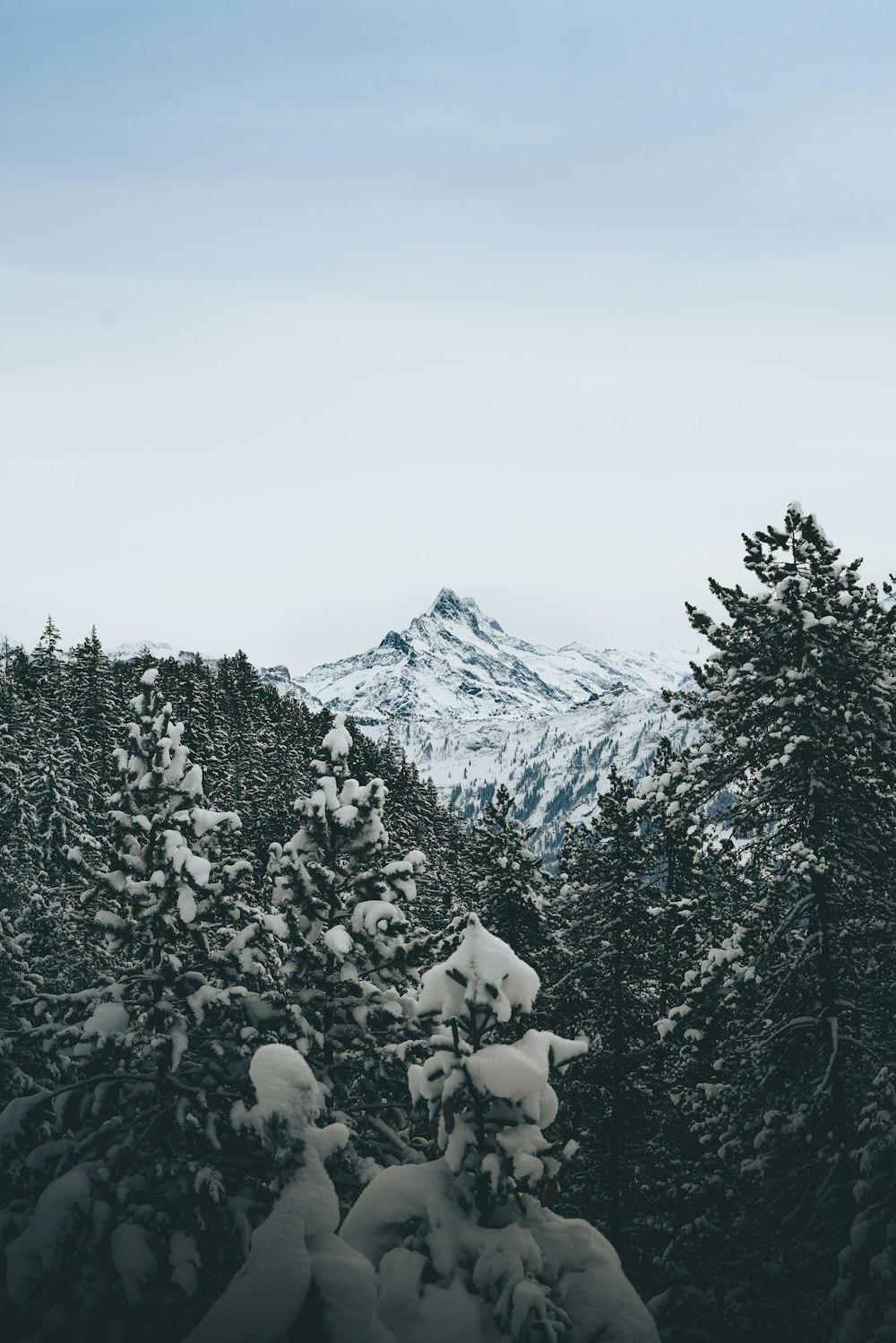 snow covered mountain during daytime