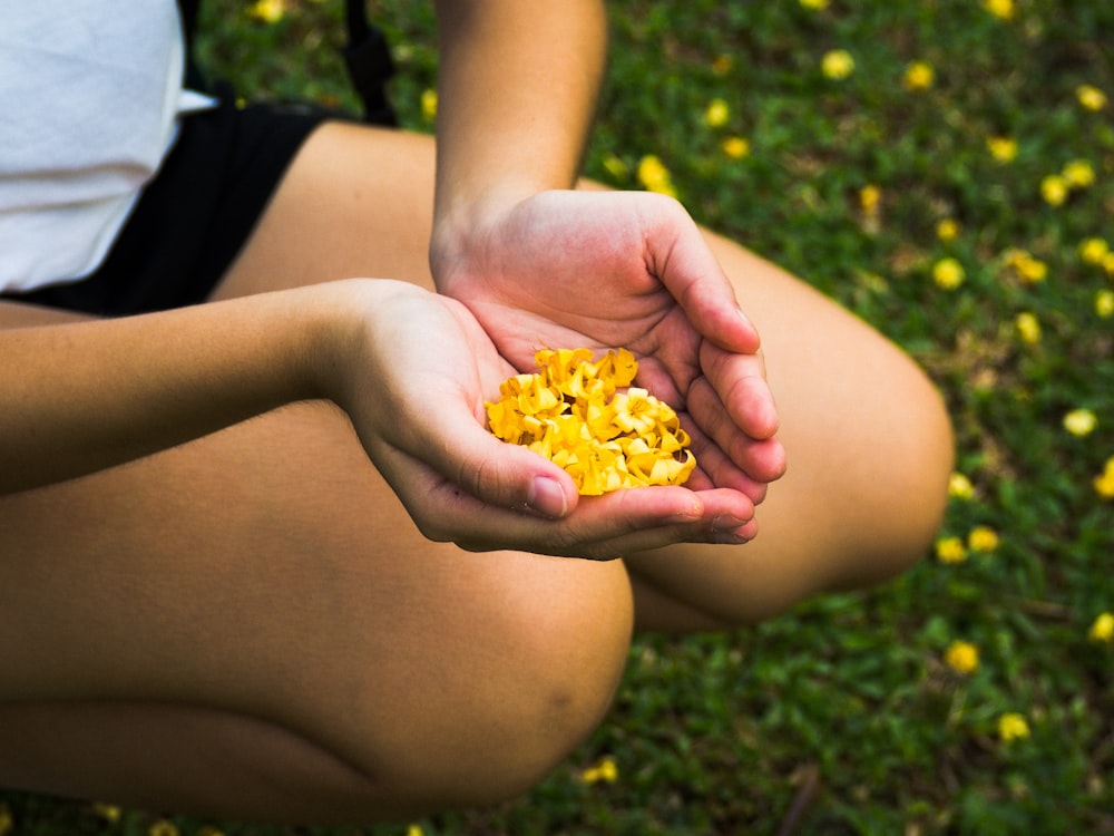 person holding yellow flower petals