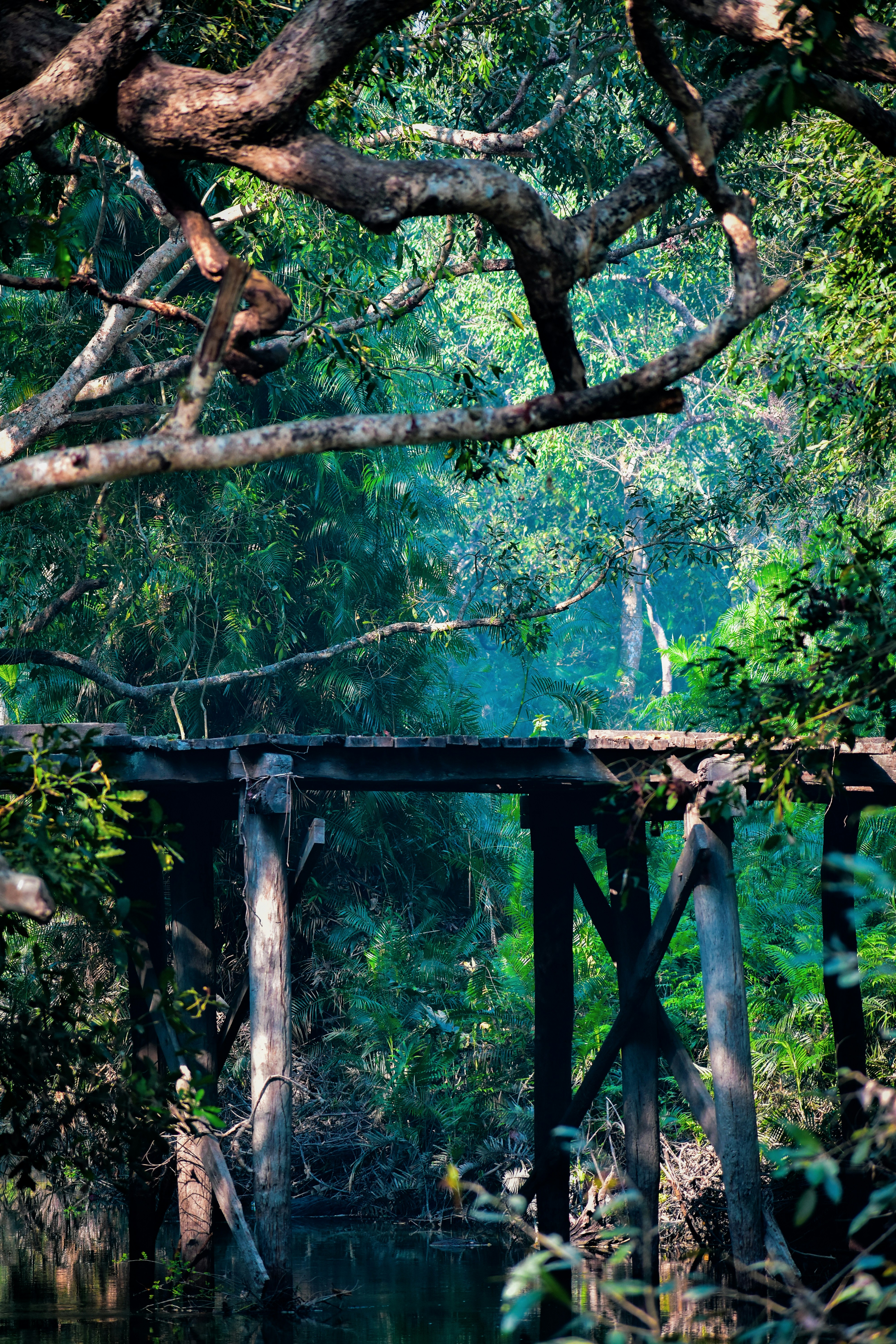 Photo by _syedfahad__