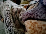 Close-up of soft, premium fabric textures used in peludora pet beds and crates.