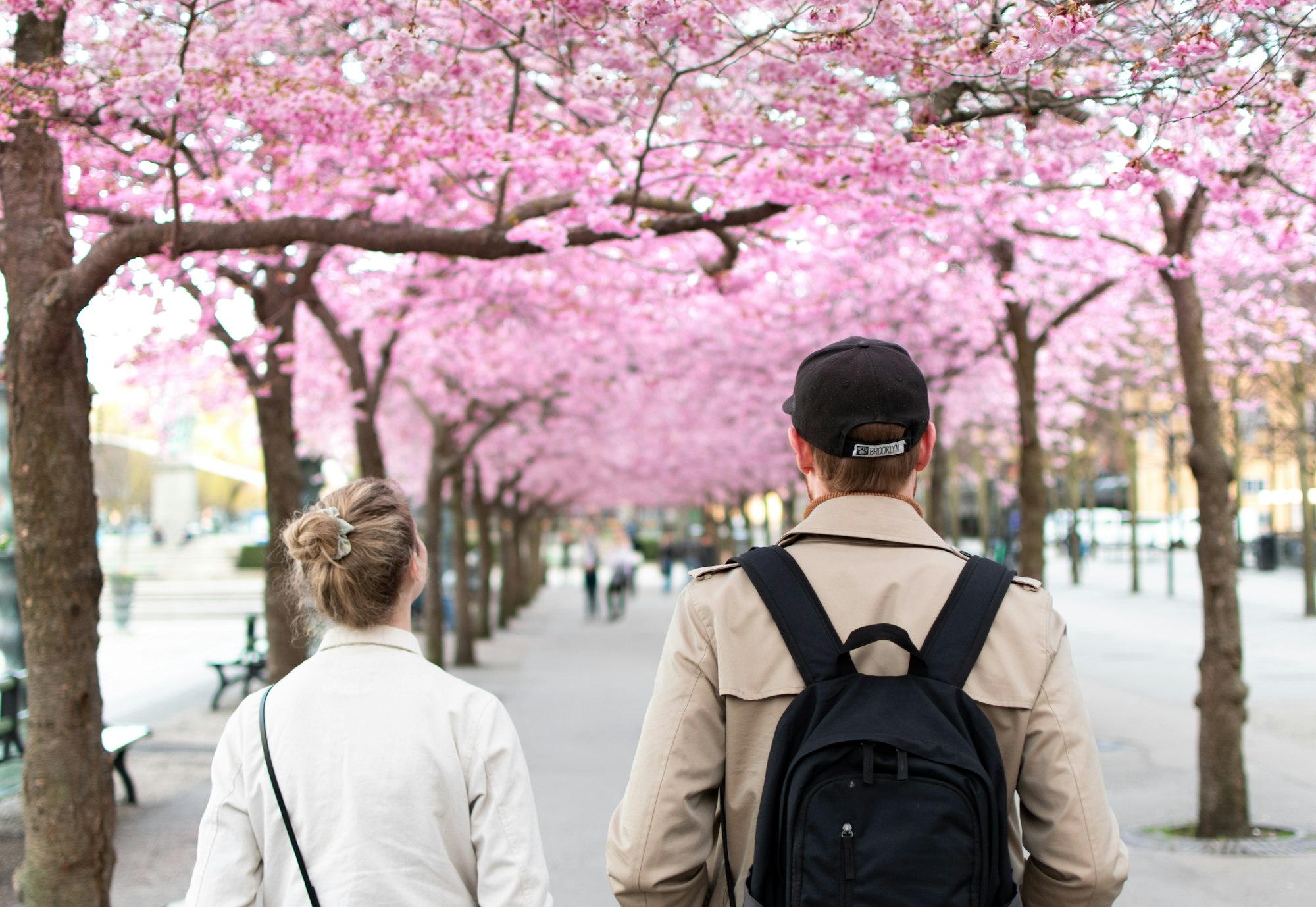 Spring has Sprung in Stockholm