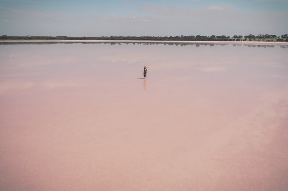 person walking on brown sand beach during daytime