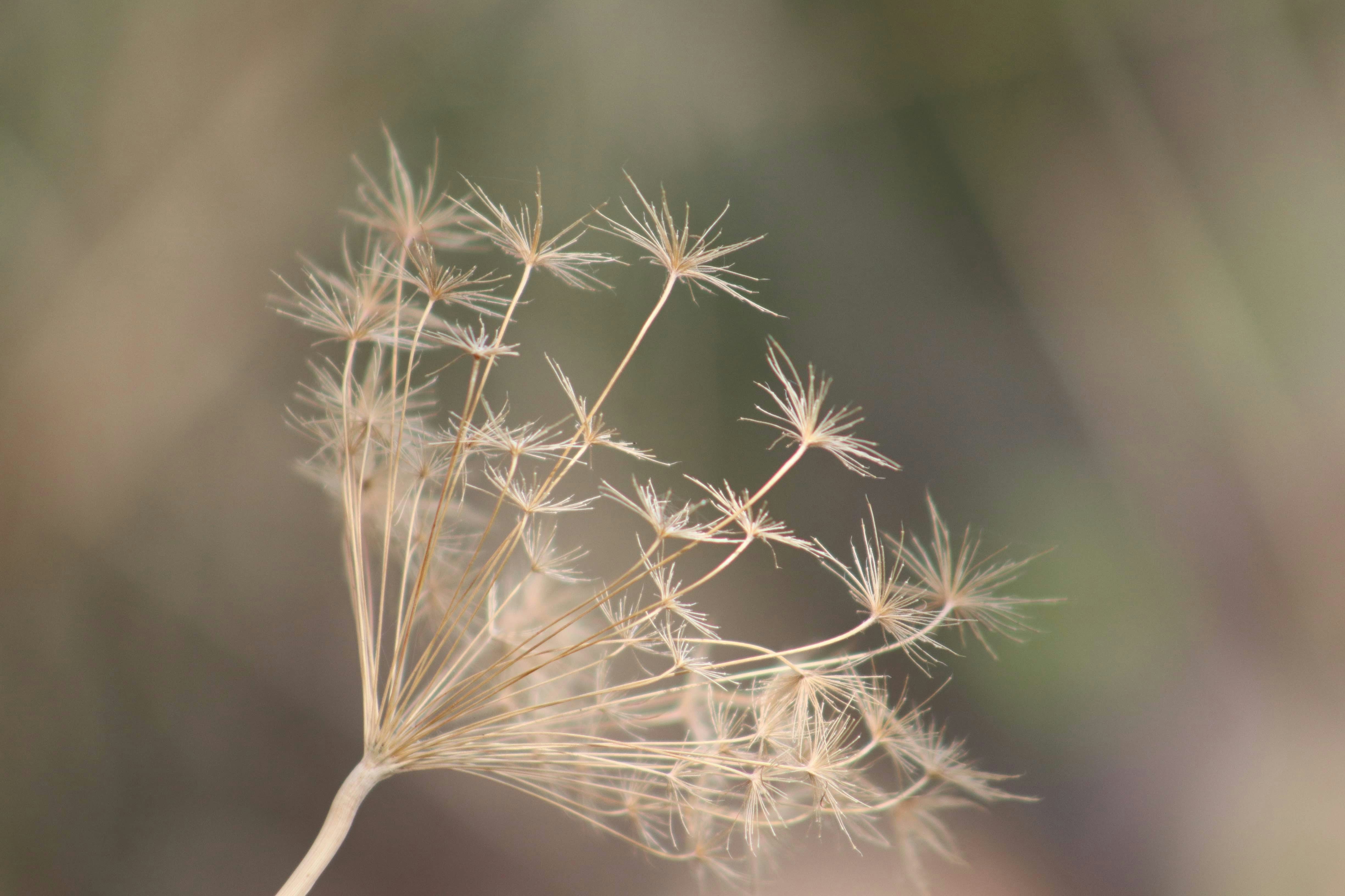 Photo by serifalidonmez07