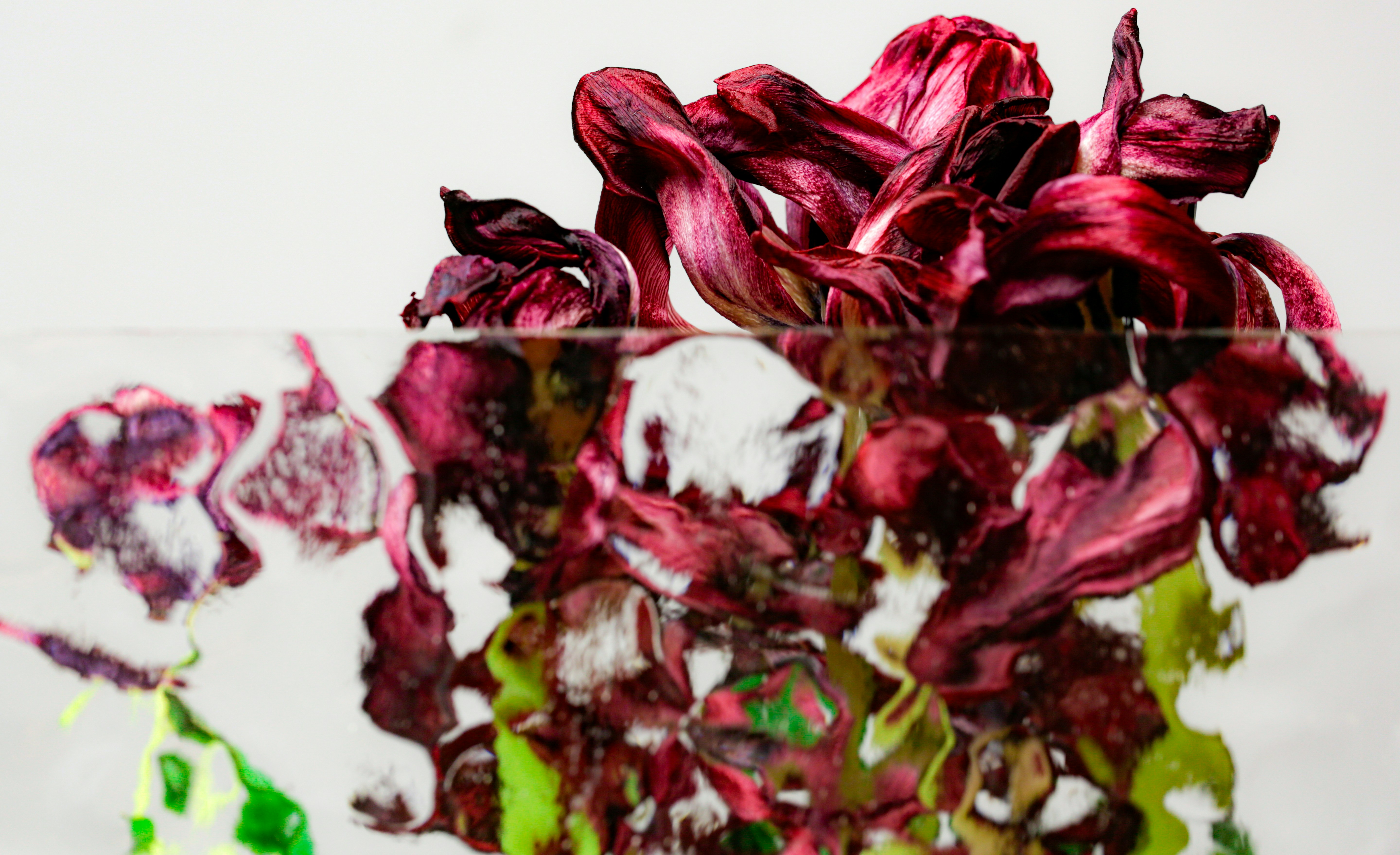 Photo by wilhelmgunkel