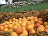 A community event celebrating peach harvest.