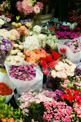 A vibrant assortment of freshly cut flowers ready for export, showcasing colors and variety.