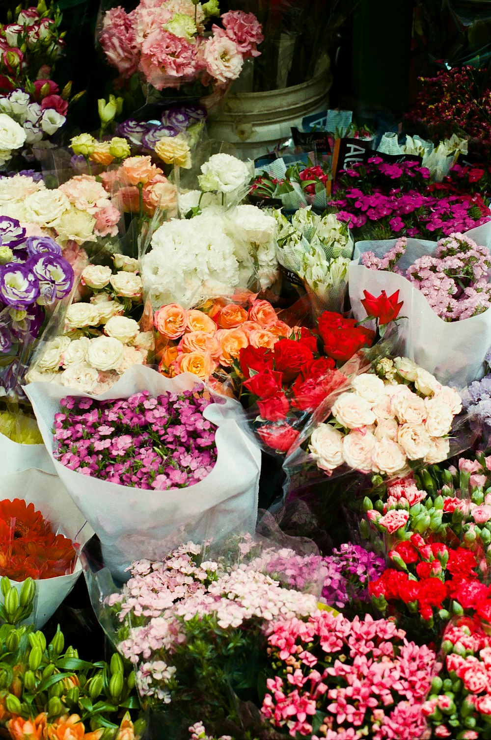 bouquet di fiori bianchi e rosa