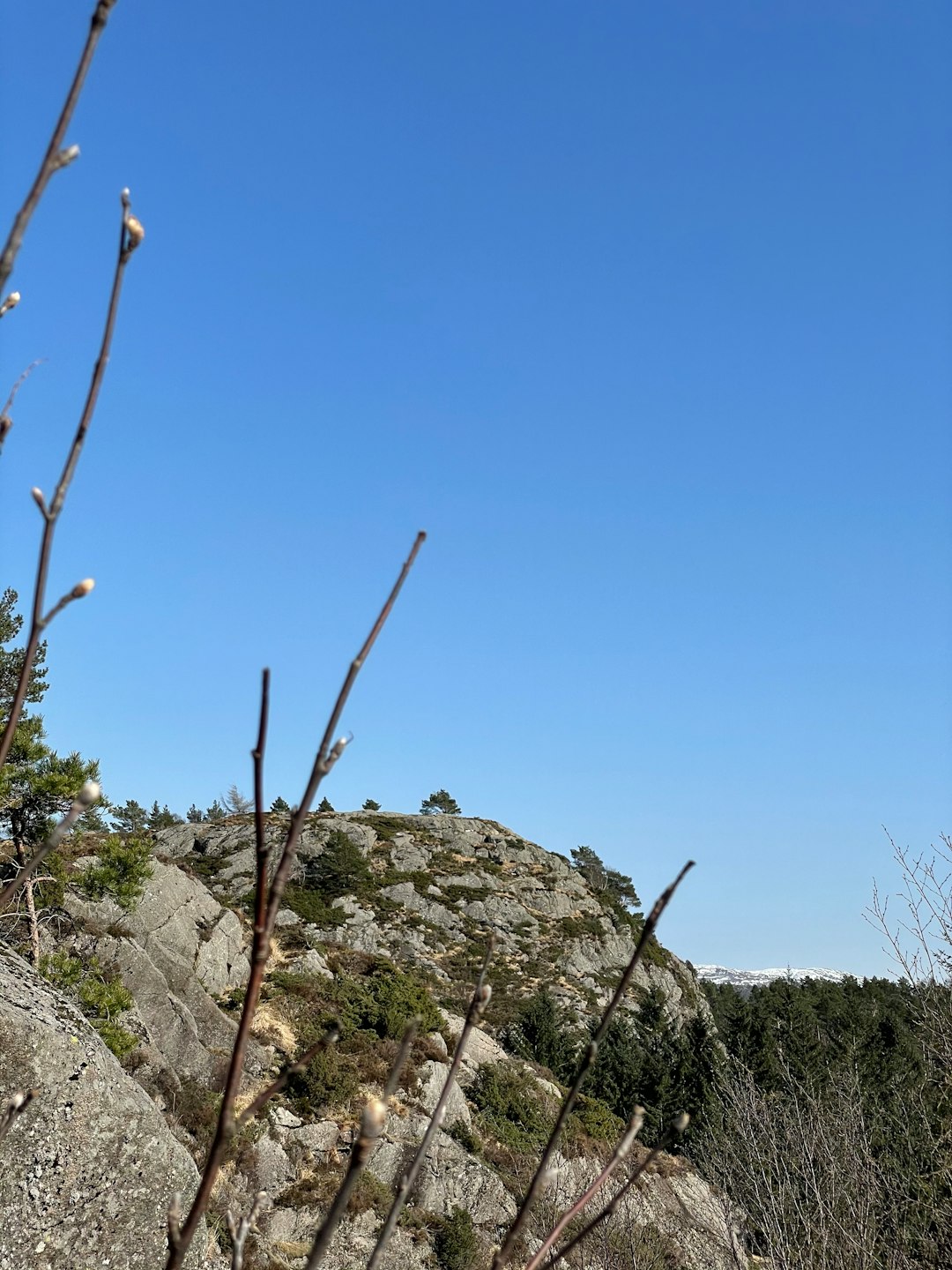 green grass on rocky mountain under blue sky during daytime