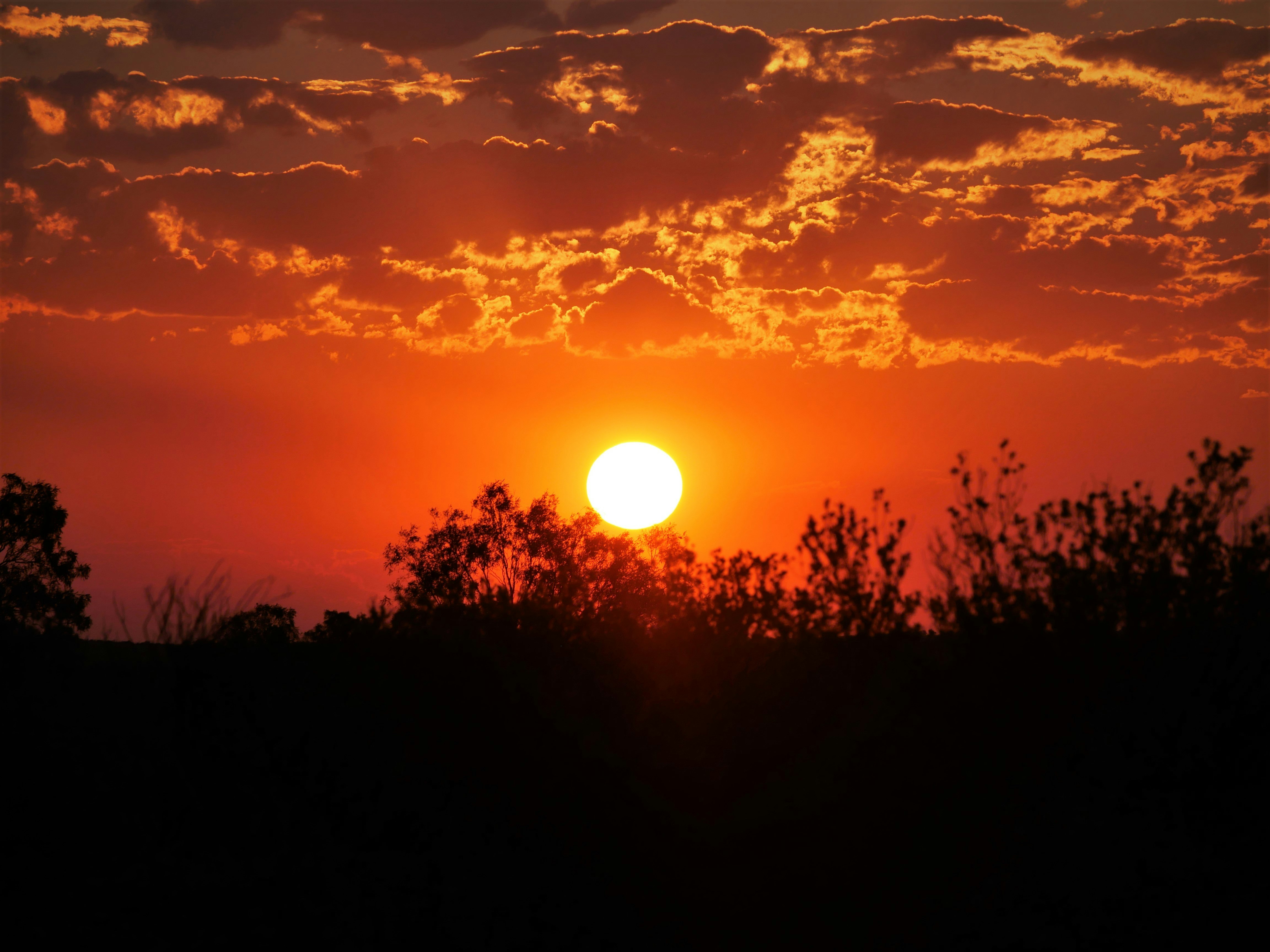 Sunset near Uluru in Australia