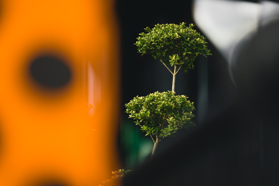 green plant in close up photography