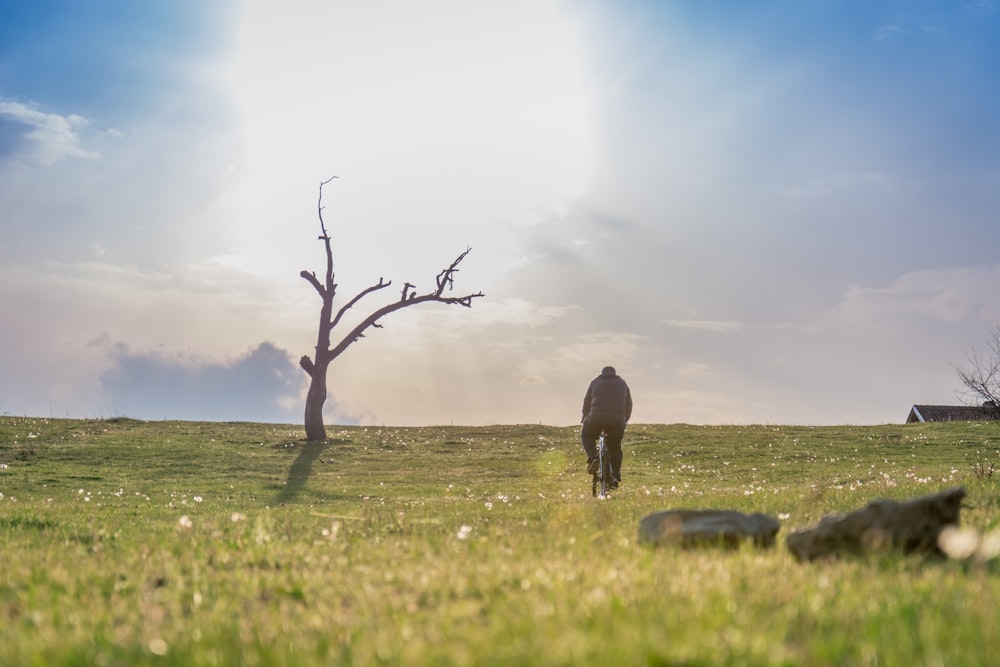 black horse on green grass field during daytime