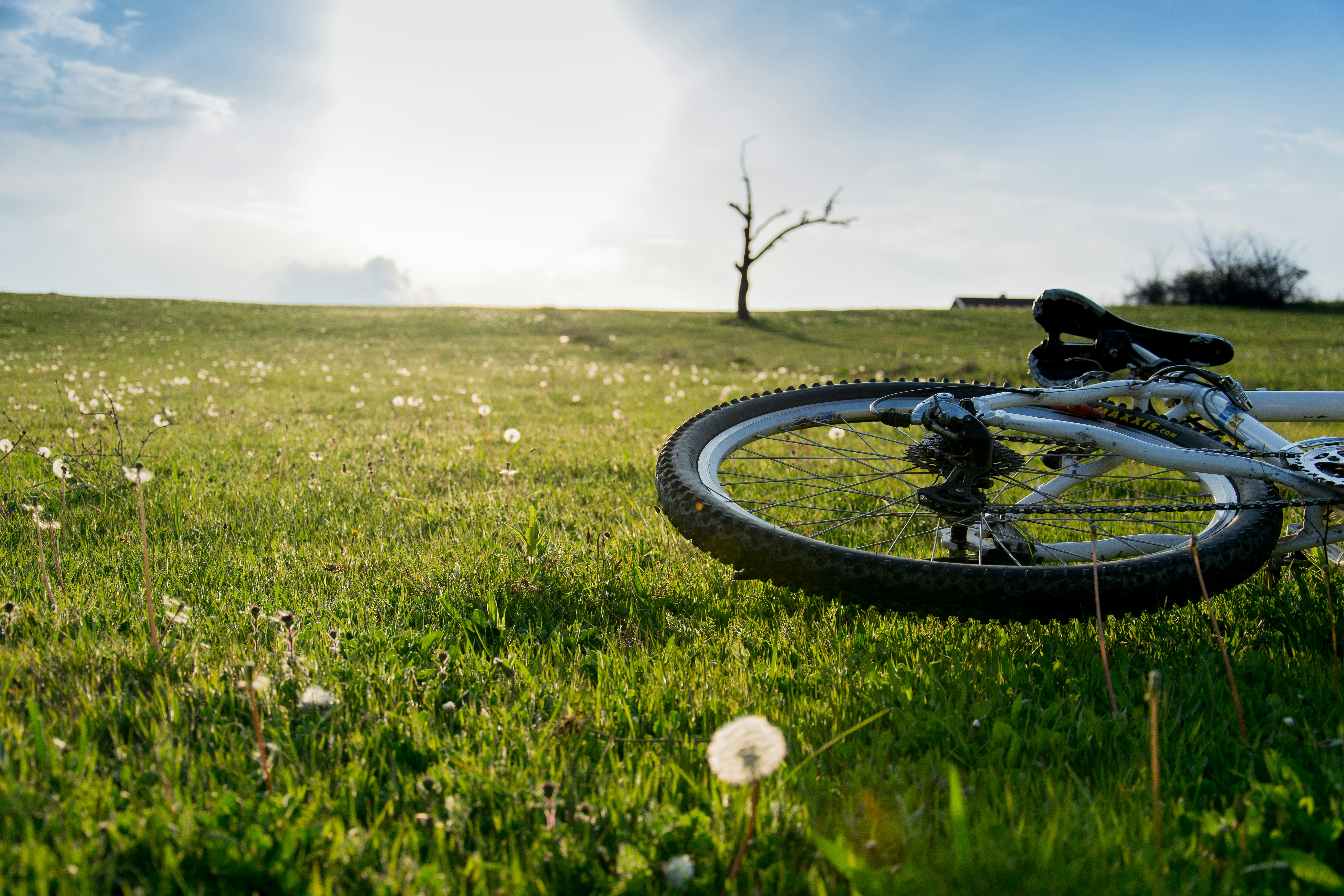 Bicycle wheel on green grass field during daytime photo – Free Grass Image  on Unsplash, image size:3000x2000