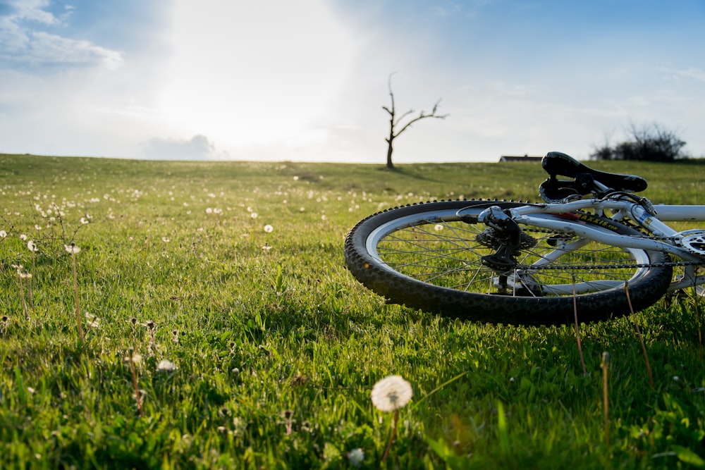 bicycle wheel on green grass field during daytime