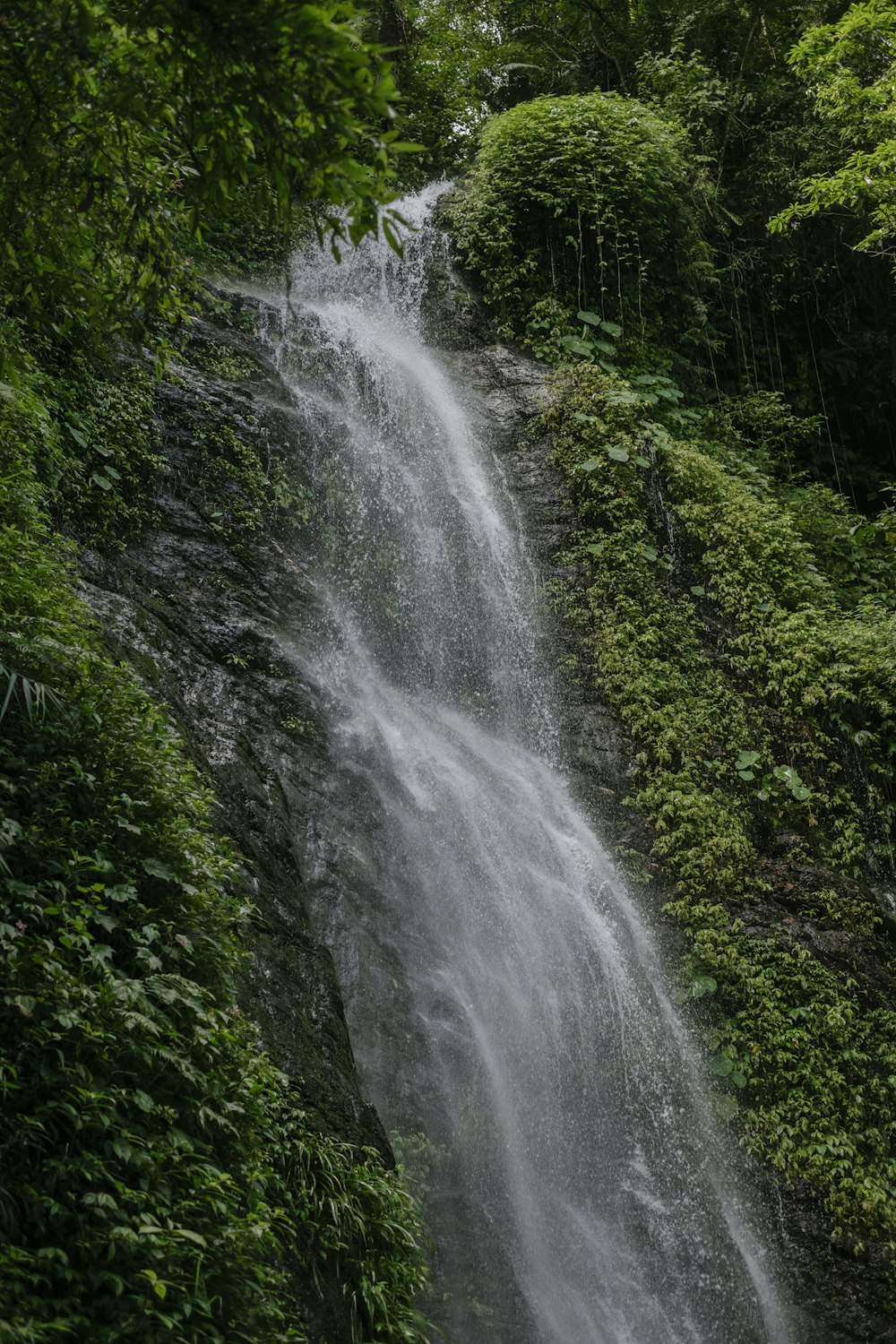 green moss on rock formation near waterfalls during daytime