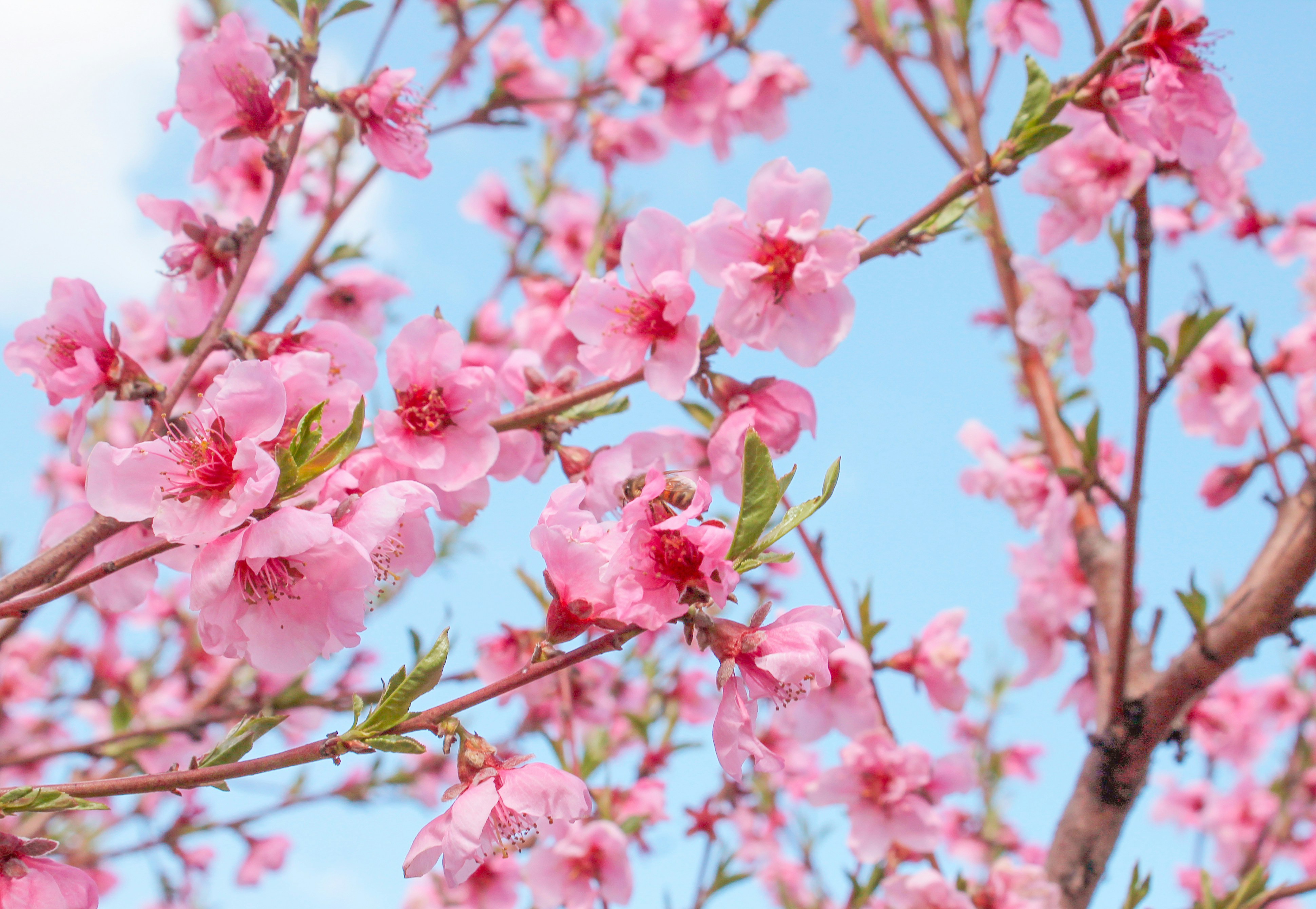 Photo by olgamusiichuck