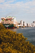 A large cargo ship with stacked colorful containers is docked near an urban area with tall buildings. In the foreground, there is dense greenery bordering a body of water.