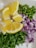 Sliced yellow lemons, chopped green chili peppers, diced red onions, and finely chopped fresh cilantro arranged on a white surface.