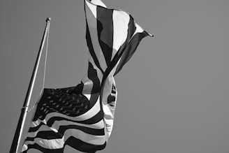 grayscale photo of us a flag
