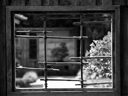A black and white photograph featuring a rustic wooden frame with a lattice made of thin bamboo sticks. In the background, a soft-focus garden scene with blurred plants and a slightly visible building can be seen.