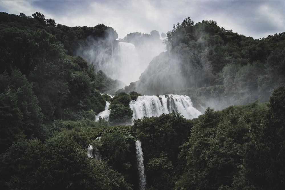 waterfalls in the middle of green trees