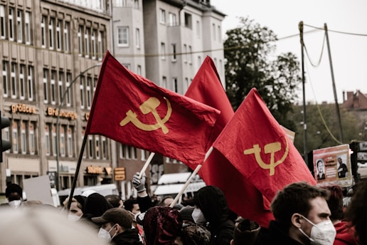 people holding flags during daytime