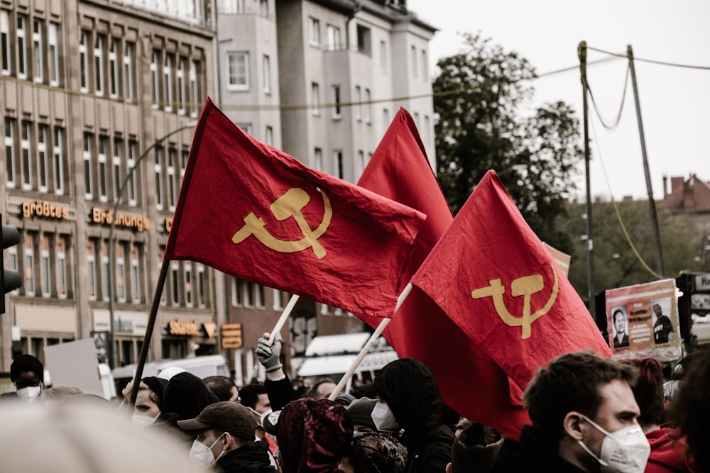 Personas con banderas durante el día