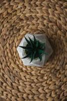 A small green succulent plant is placed in a stylish geometric concrete pot. The pot sits on a woven, circular jute mat with a rich texture and natural color.