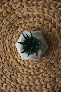 A small green succulent plant is placed in a stylish geometric concrete pot. The pot sits on a woven, circular jute mat with a rich texture and natural color.