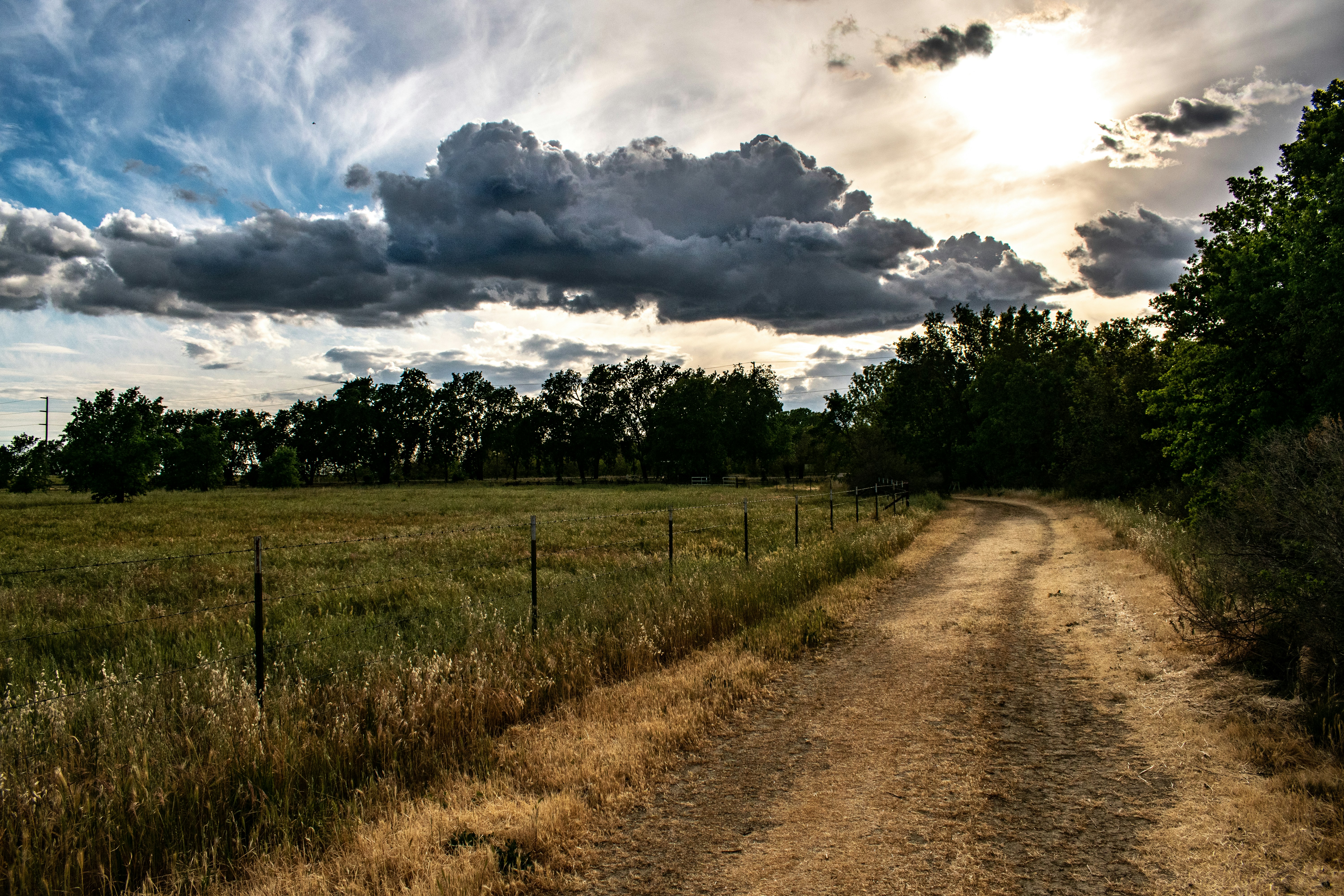 Photo by elisastonephotography