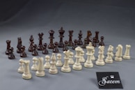 A set of chess pieces is arranged on a gray surface, consisting of both black and white pieces. In the foreground, the white pieces are arranged in two rows, while the black pieces are positioned in the background in a similar formation. The pieces include pawns, rooks, knights, bishops, queens, and kings. A small card with the brand name 'Satem' is placed in the bottom right corner of the image.
