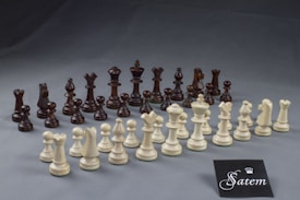 A set of chess pieces is arranged on a gray surface, consisting of both black and white pieces. In the foreground, the white pieces are arranged in two rows, while the black pieces are positioned in the background in a similar formation. The pieces include pawns, rooks, knights, bishops, queens, and kings. A small card with the brand name 'Satem' is placed in the bottom right corner of the image.