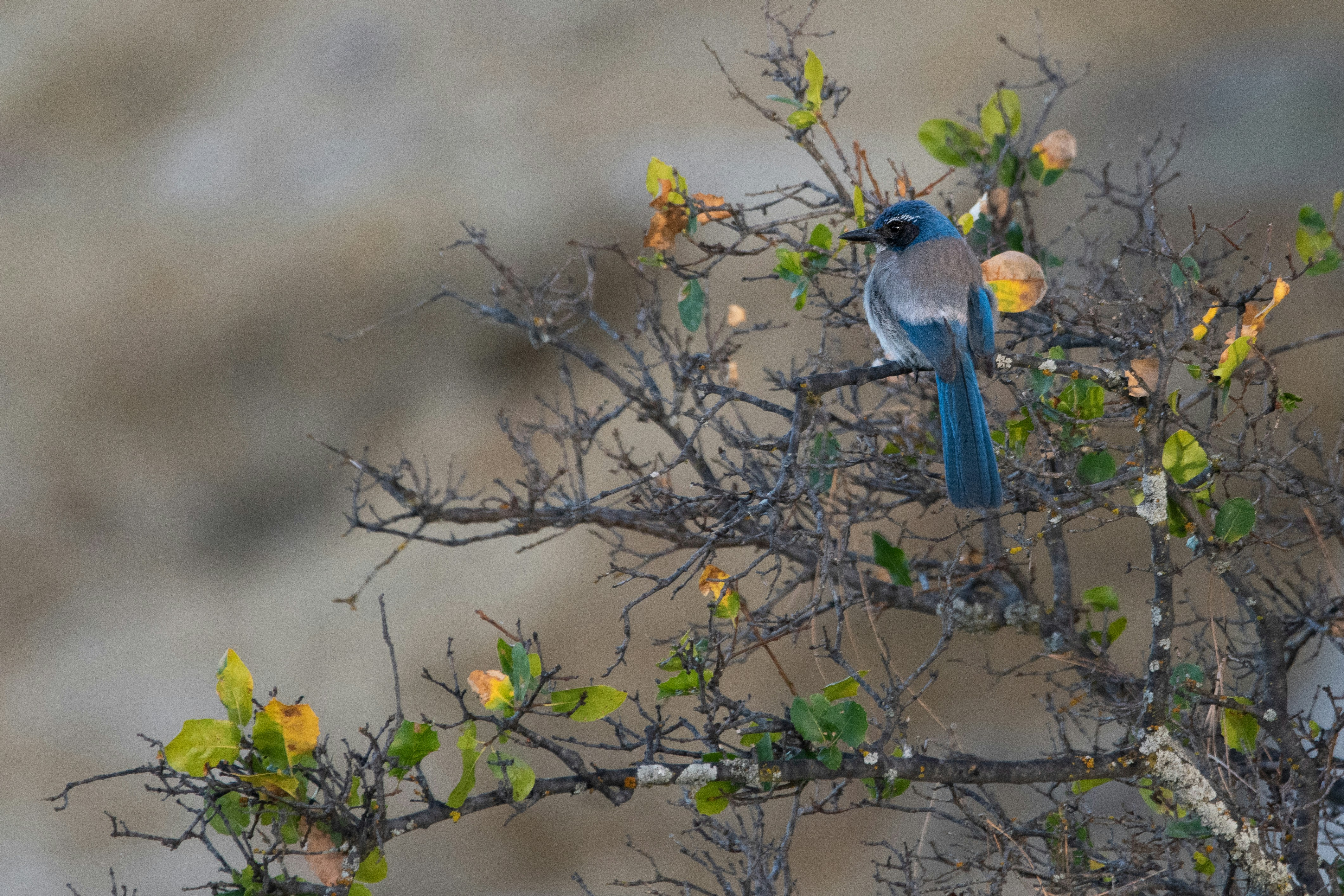 Photo by elisastonephotography