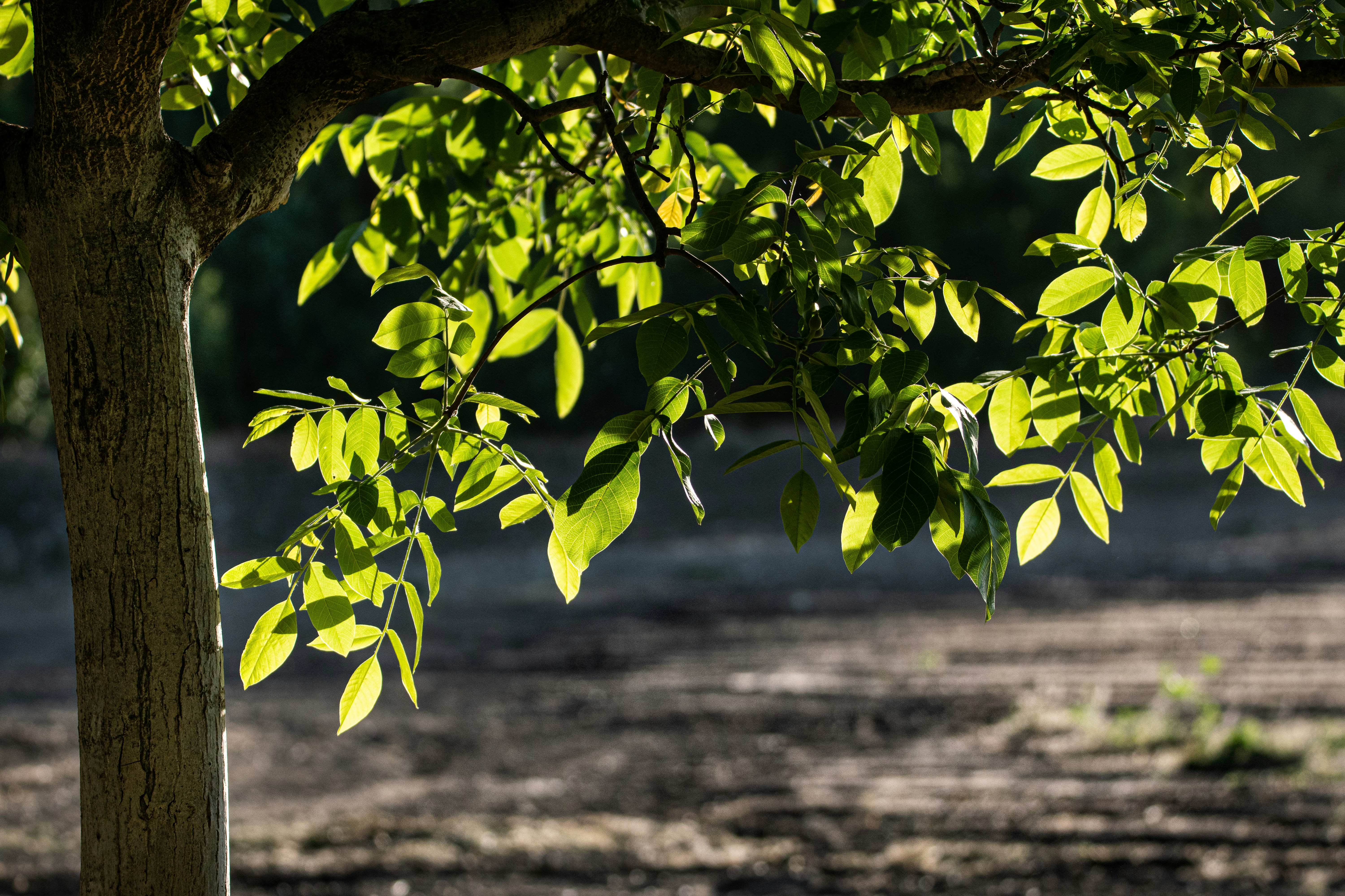 Photo by elisastonephotography