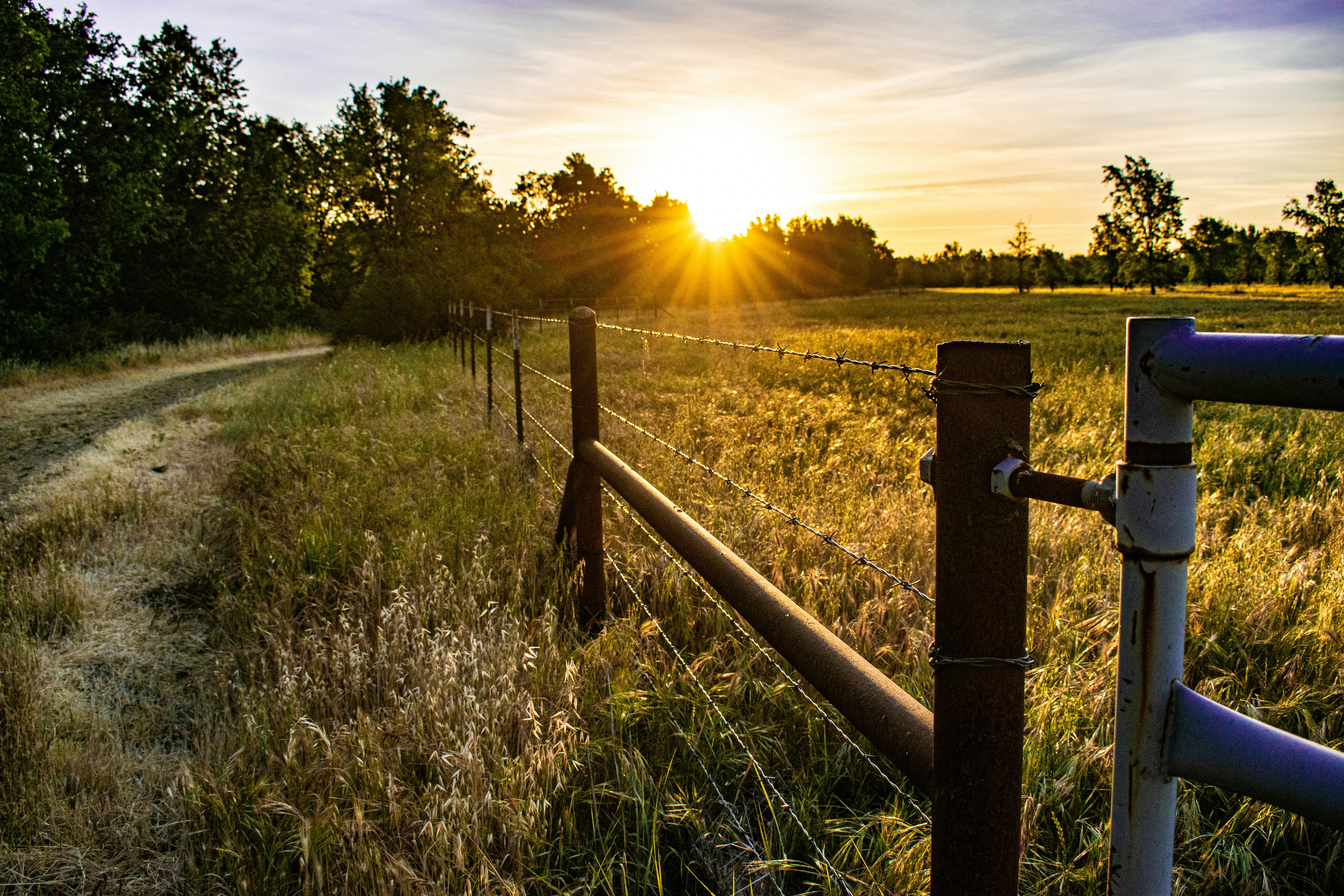 Photo by elisastonephotography