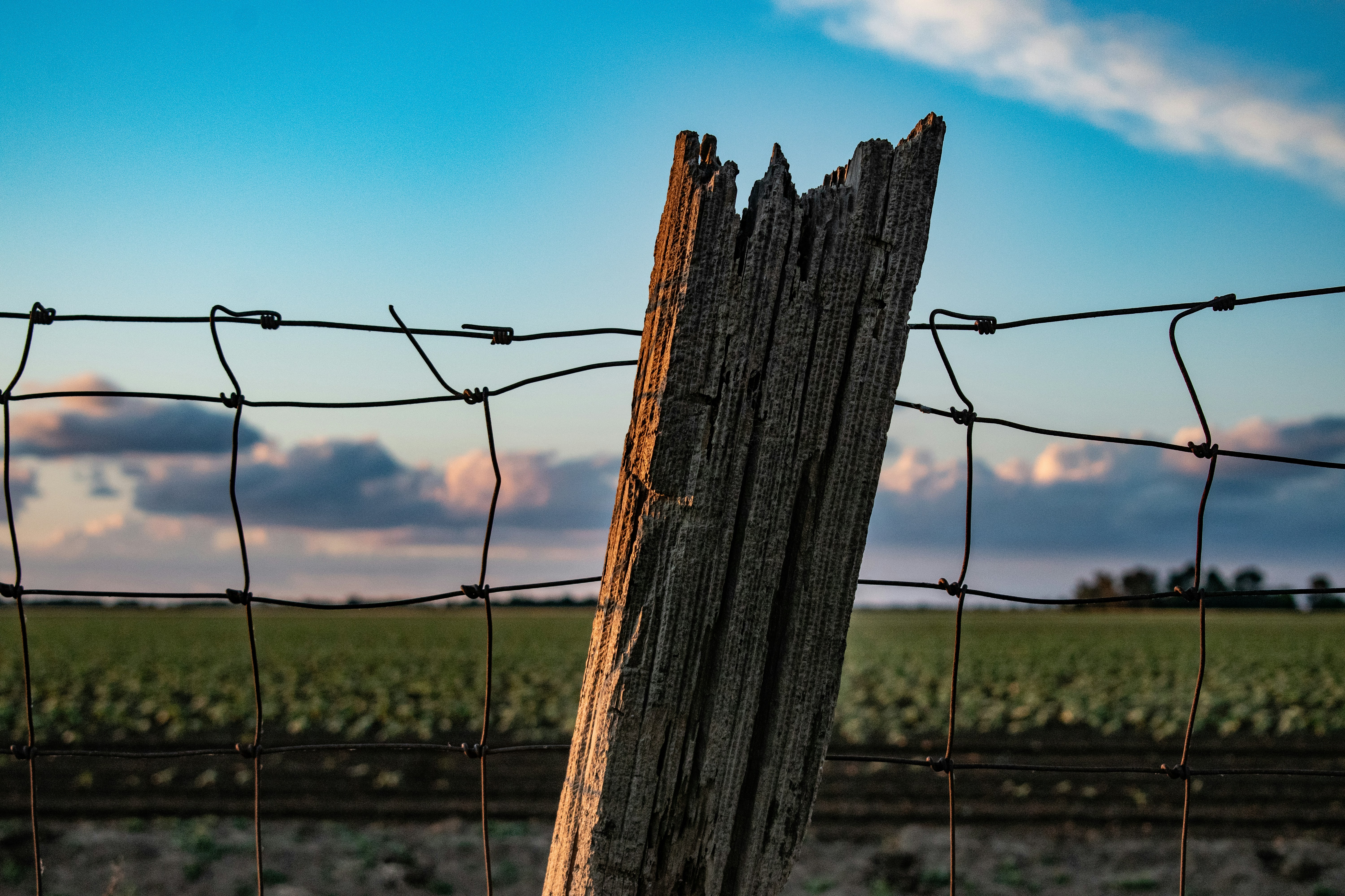 Photo by elisastonephotography