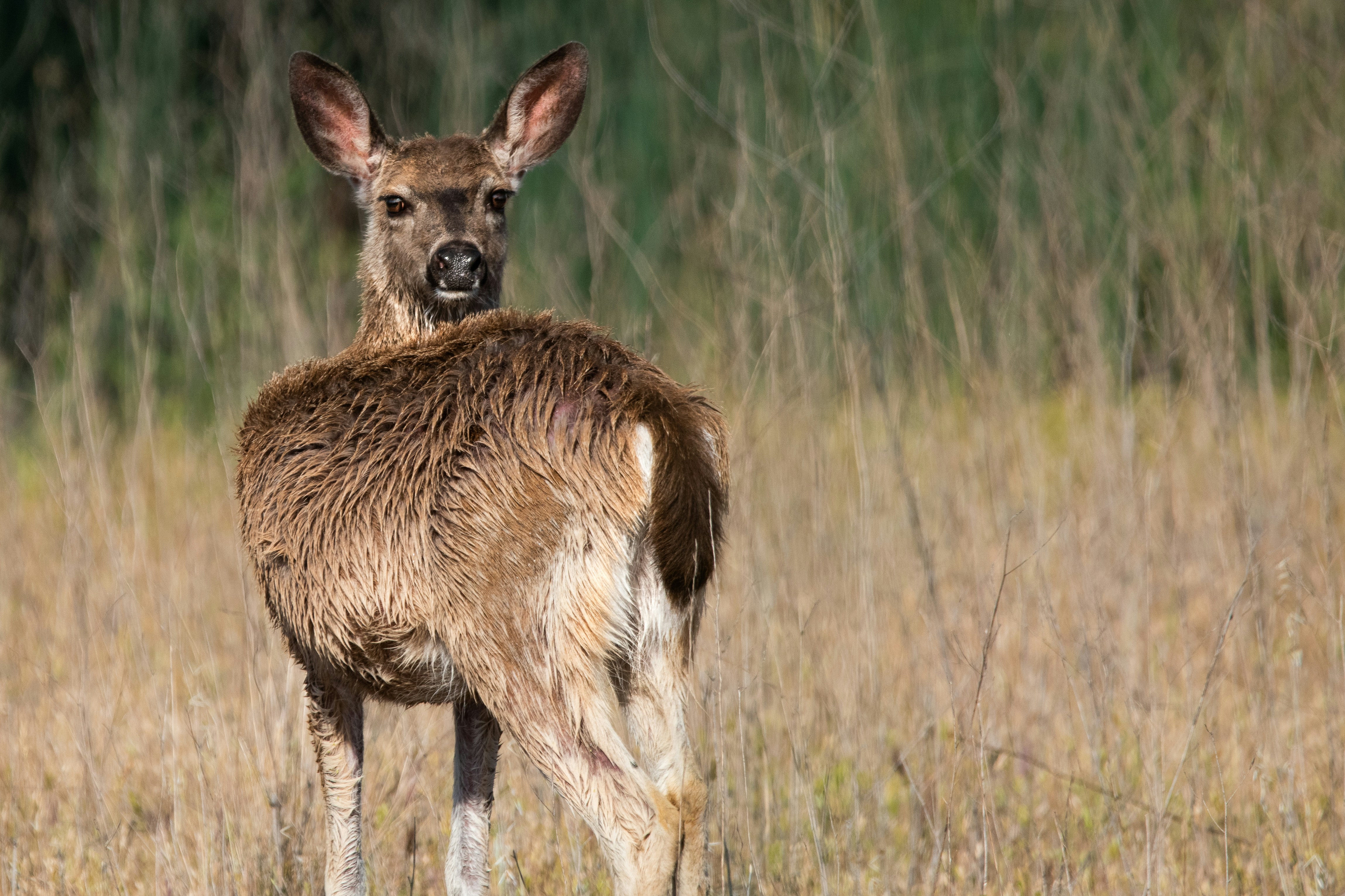 Photo by elisastonephotography