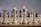 A close-up view of a chessboard with a focus on the white chess pieces, including the bishop, queen, king, and knight. The pieces are arranged prominently in the foreground, standing on a classic brown and beige checkered board.