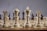 A close-up view of a chessboard with a focus on the white chess pieces, including the bishop, queen, king, and knight. The pieces are arranged prominently in the foreground, standing on a classic brown and beige checkered board.