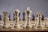 A close-up view of a chessboard with a focus on the white chess pieces, including the bishop, queen, king, and knight. The pieces are arranged prominently in the foreground, standing on a classic brown and beige checkered board.