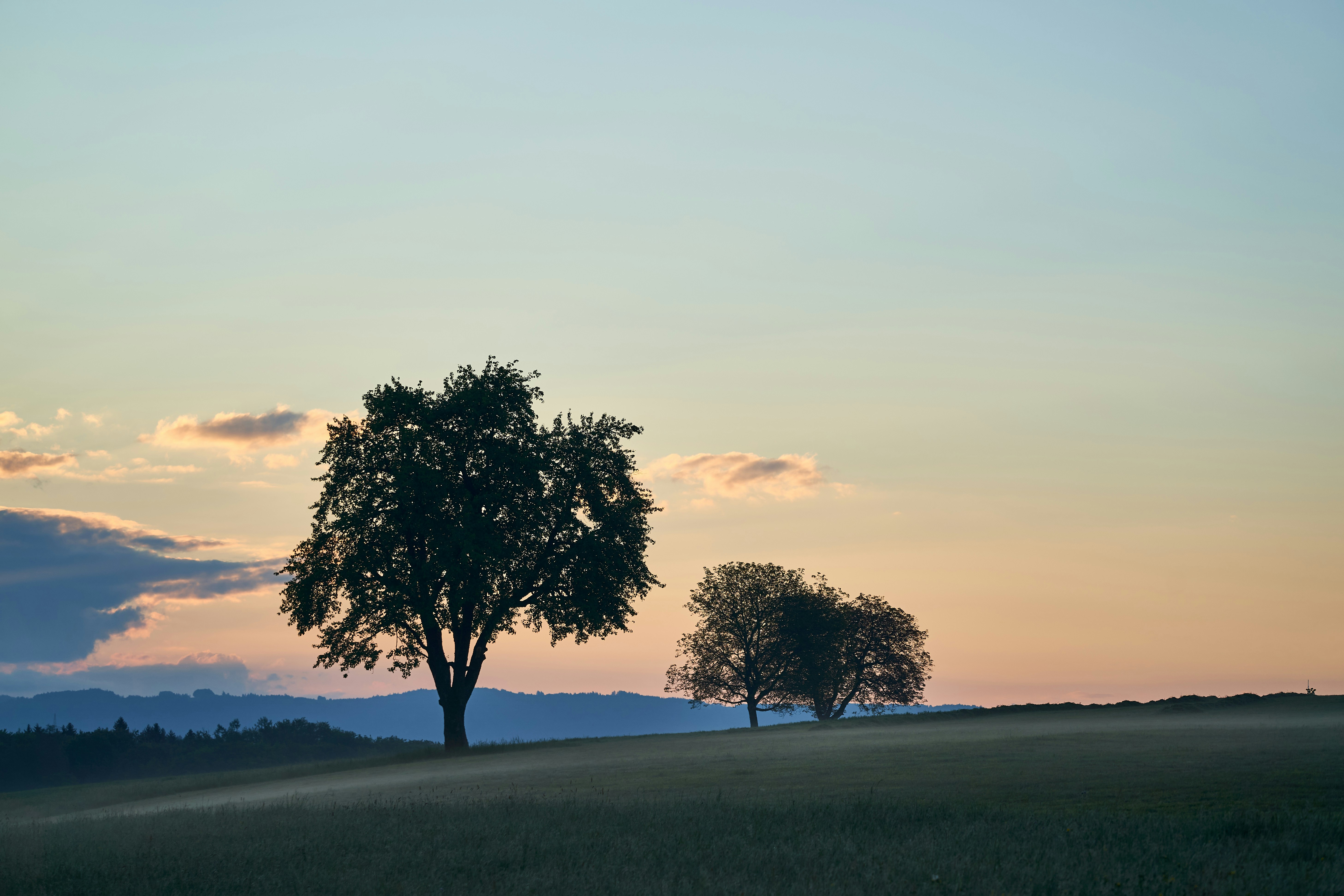 Photo by wolfgang_hasselmann