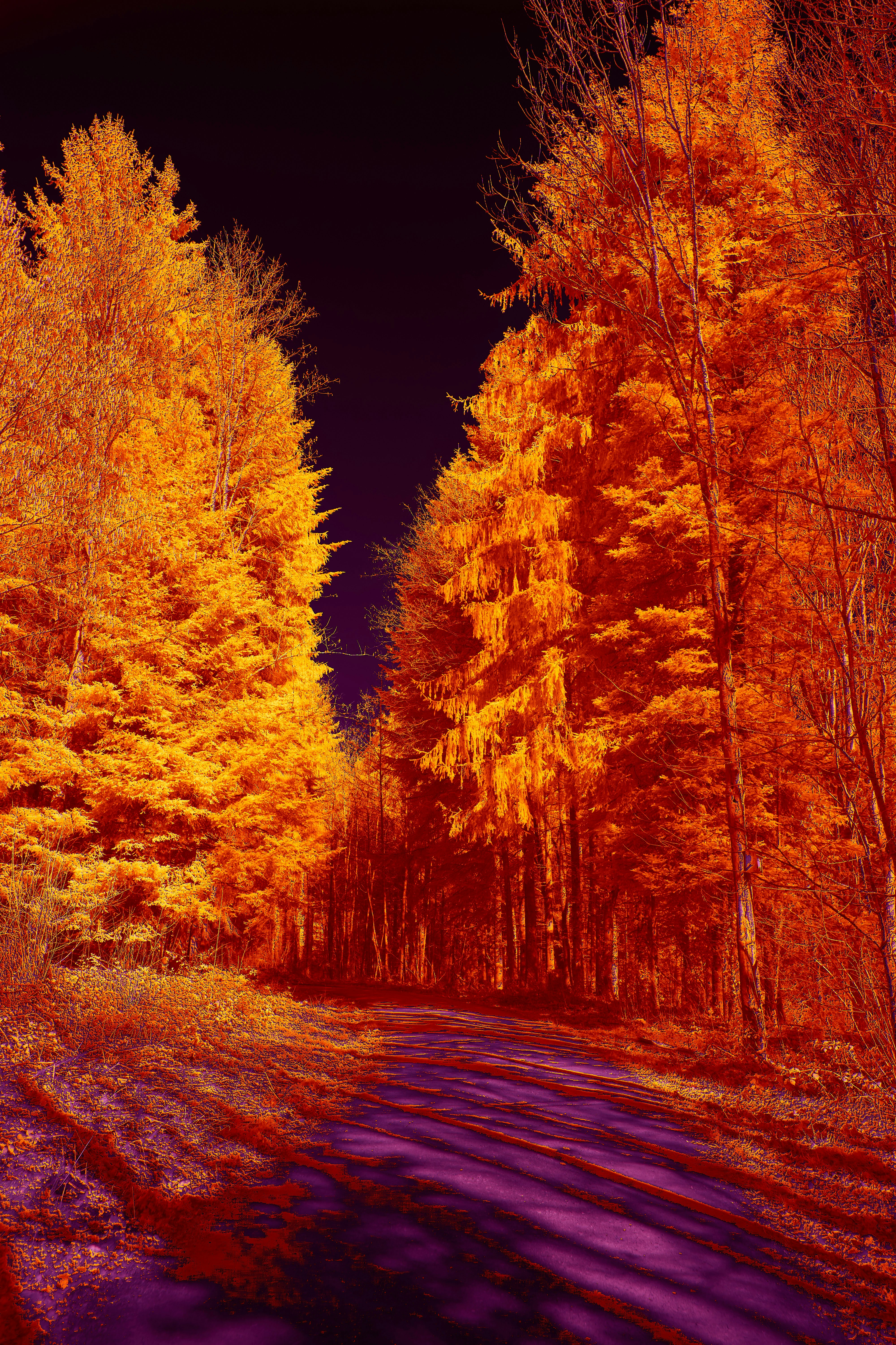 Photo by wolfgang_hasselmann