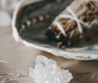 white flower on white ceramic bowl