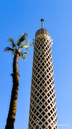 green palm tree near white and black tower