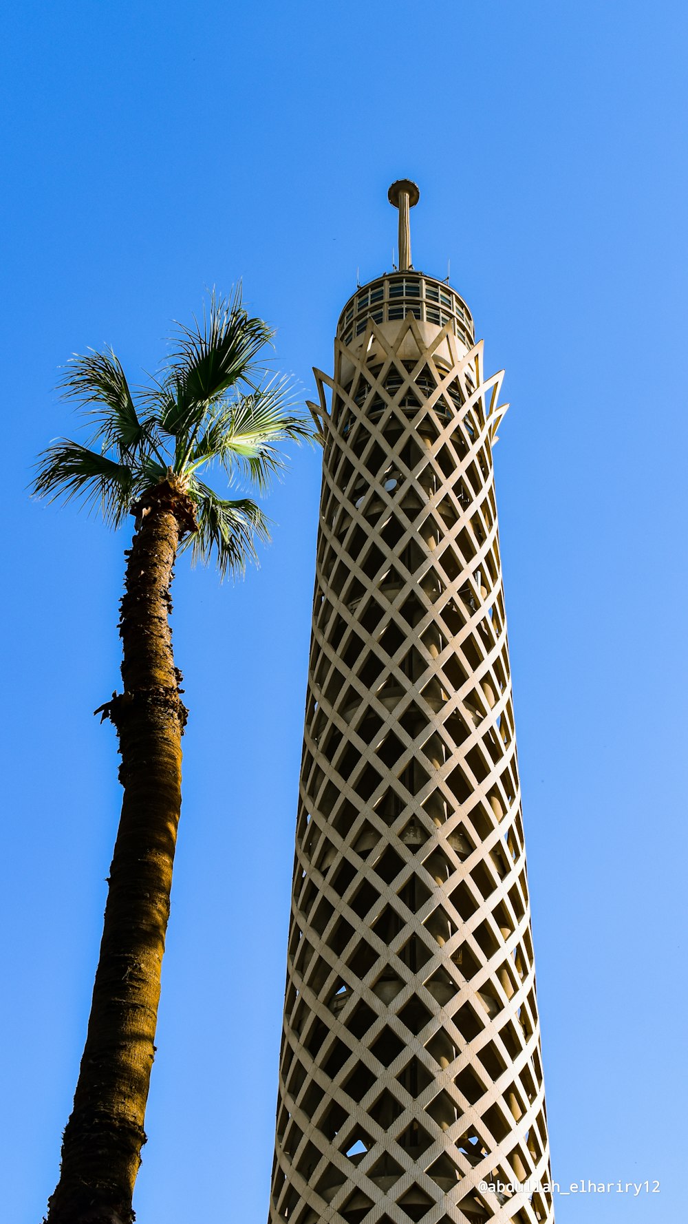 green palm tree near white and black tower