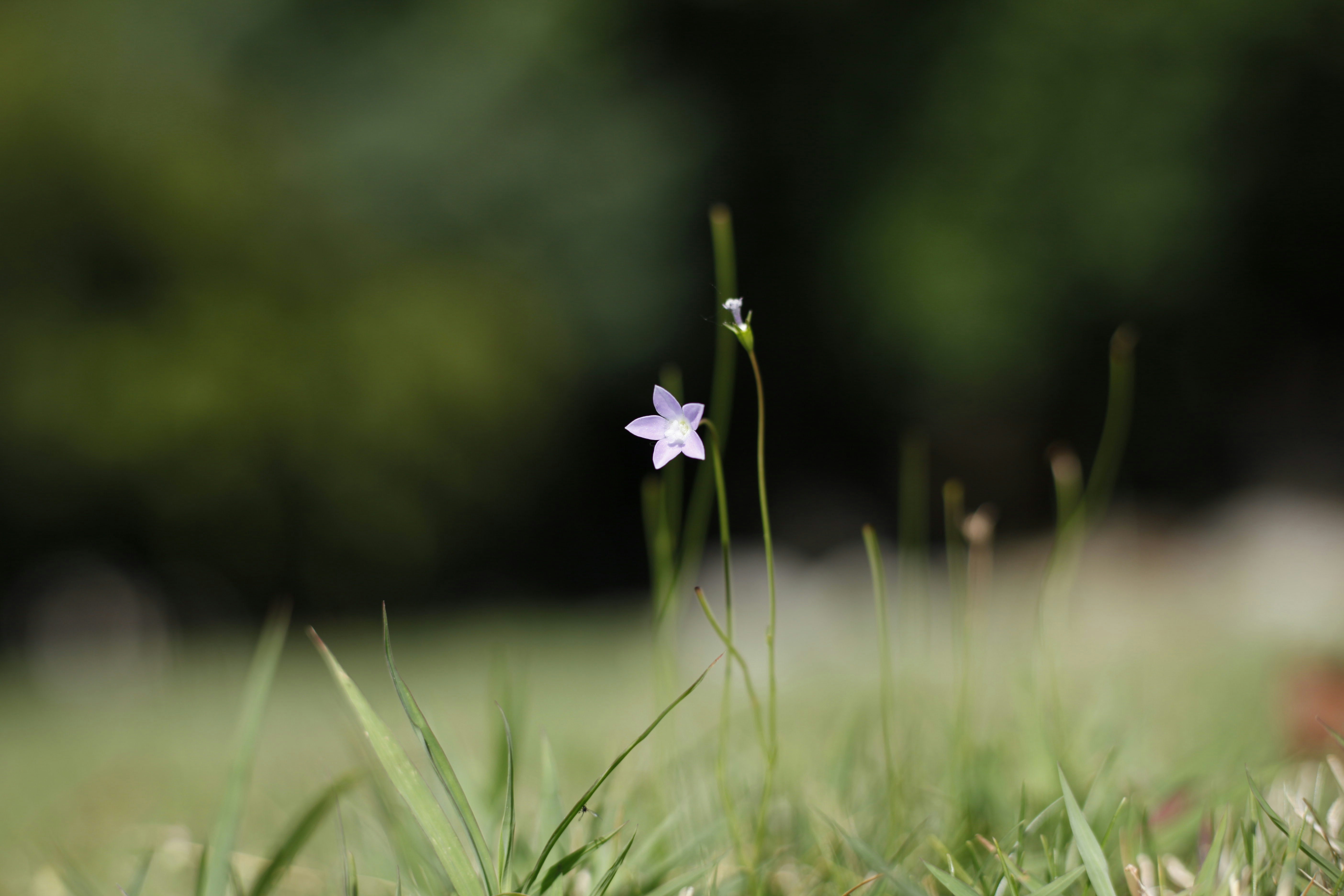 Photo by chosen0